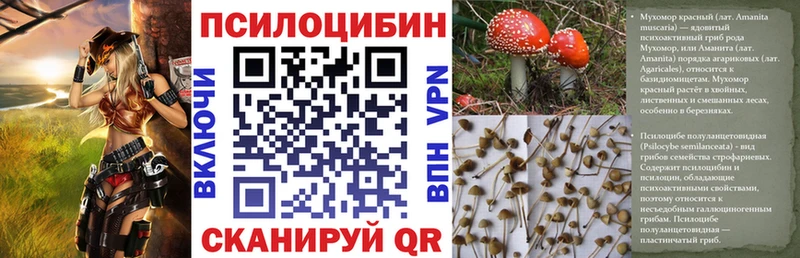 мега вход  Куровское  Галлюциногенные грибы Psilocybine cubensis 